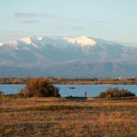 Hotel Camping Mar Estang Face Plage 4*